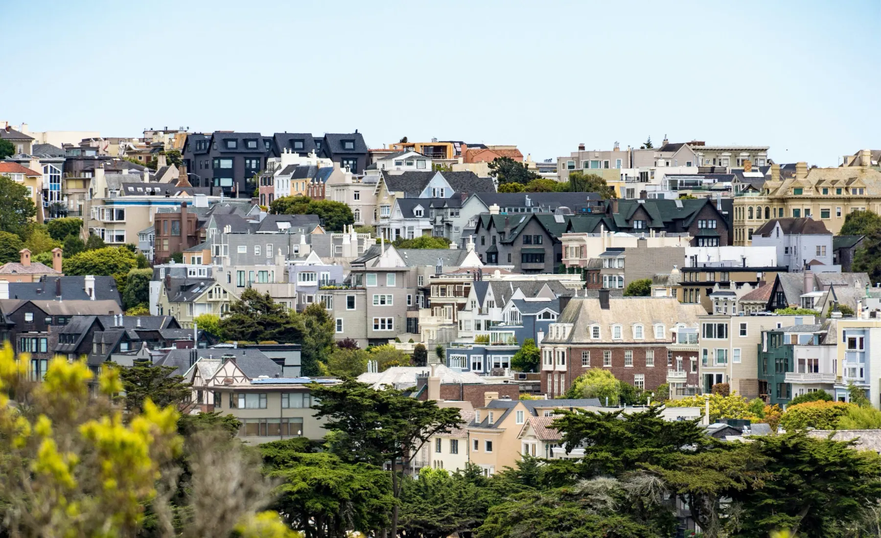 San Francisco rowhouses stepping up a hillside above cypress trees